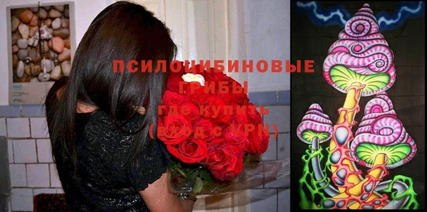 амф Алзамай
