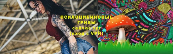 амф Алзамай